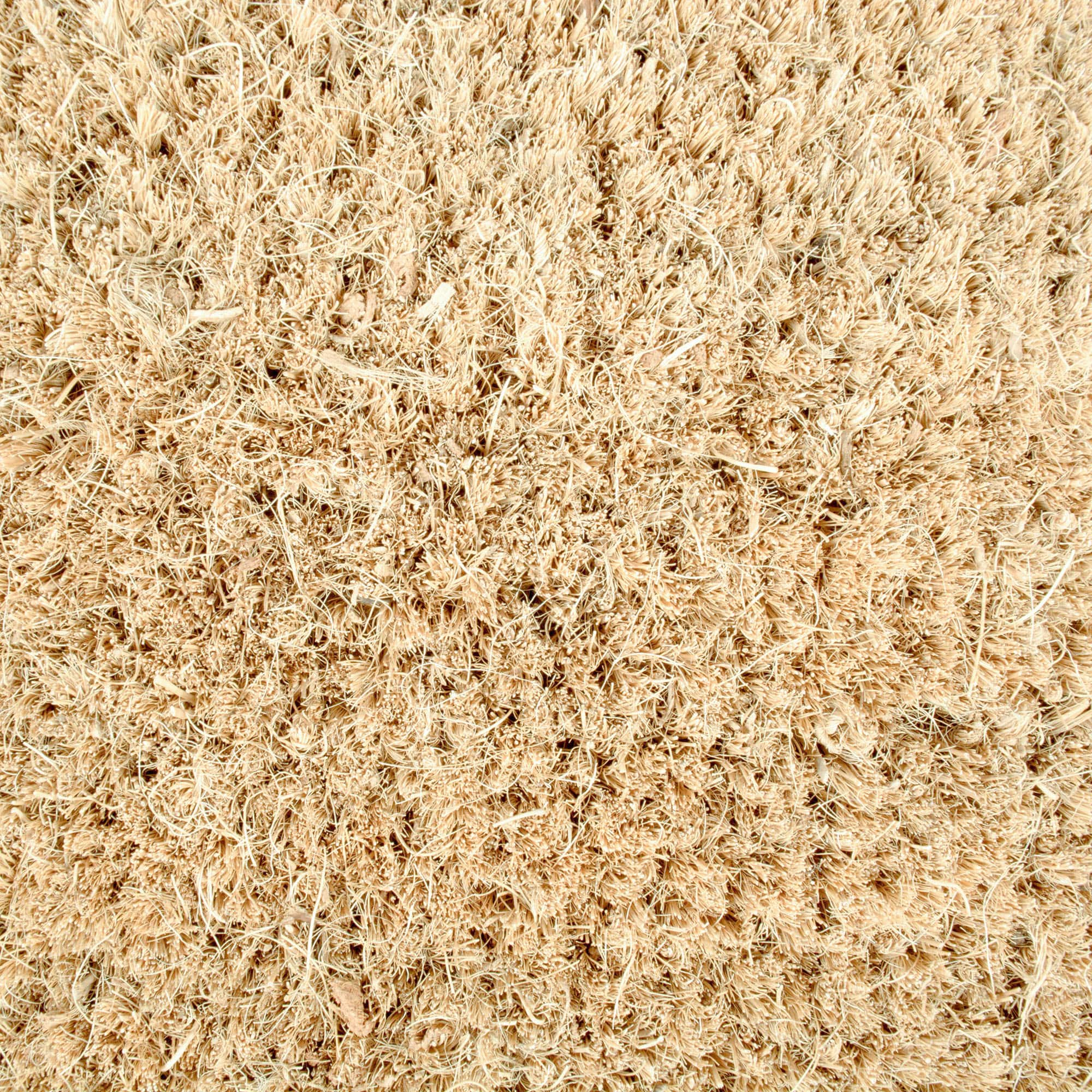 DII® Joy Doormat